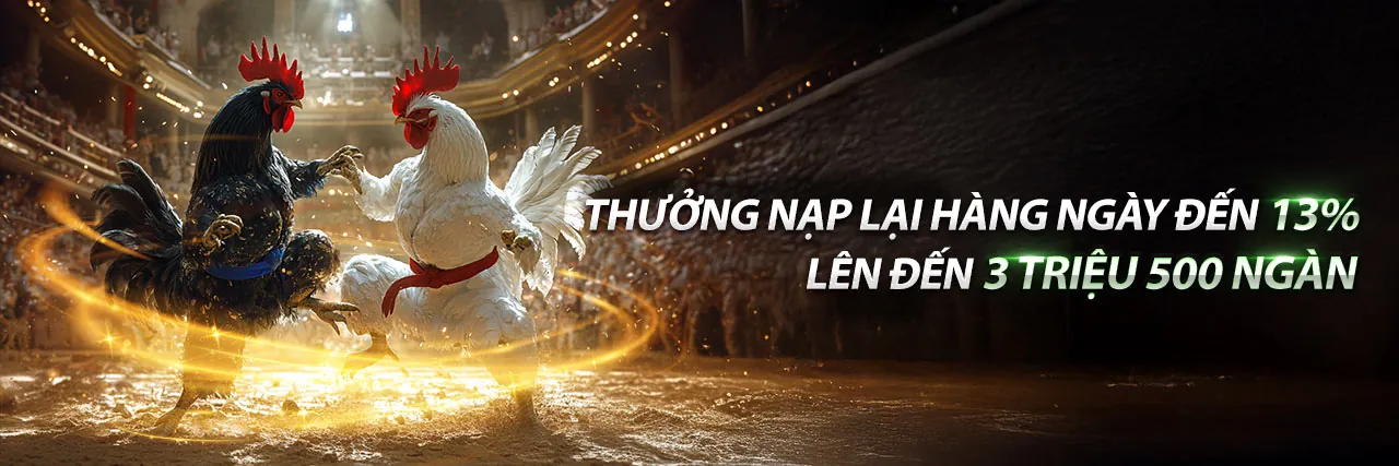 Hoàn trả tiền cược K8vn